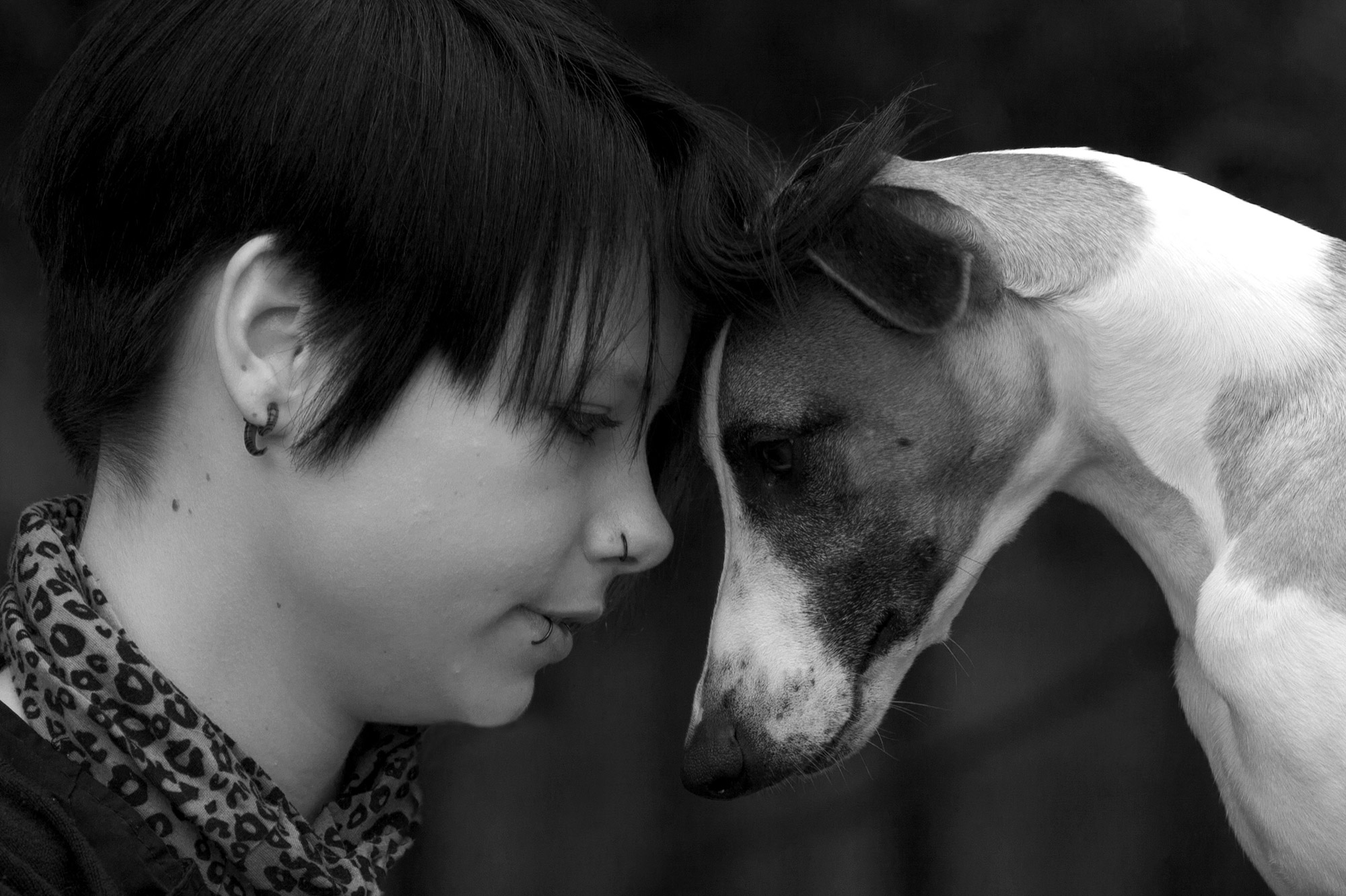 Portrait Svenja und Whippet Odin